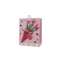 MED 18X23X10CM MOTHERS DAY GIFT BAG