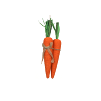 3PK 31CM JUTE CARROTS