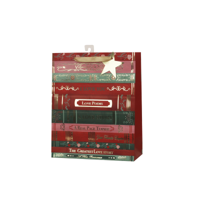 LRG 26X32X12CM VALENTINE GIFT BAG
