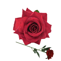 53CM RED ROSE W/WATERDROPS IN CELLO WRAP