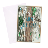 SOP MALE BIRTHDAY