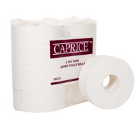 Everyday Jumbo 2 Ply Toilet Paper 300m Rolls (Wrapped) - Box of 8