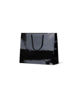 Laminated Large Gloss Emerald Black Paper Bags Rope Handle 250mm(L) x 330mm(W) x 125mm(H) - Box of 1