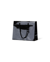 Laminated Medium Matte Emerald Black Paper Bag Rope Handle 200mm(L) x 250mm(W) + 100mm(G) - Box of 2