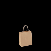 Petite Brown Loop Handle Paper Carry Bags 215mm(H) x 180mm(W) + 85mm(G) - EACH =1 / BOX=250