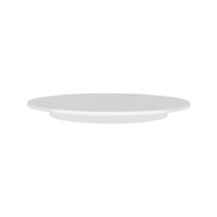 THERMOHAUSER CAKE PLATE-300mm SAN PLASTIC (*31012*) =  1 X EACH