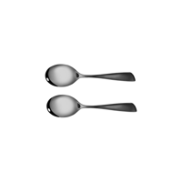 STANLEY ROGERS SOHO ONYX SERVING SPOONS 2PC SET (*SR50842*) = PACK OF 2 X SETS