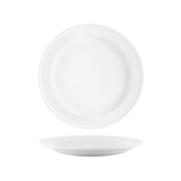 VITROCERAM -VITRO-2 ROUND PLATE-230x30mm Rolled Edge (*904209*) = PACK OF 24 X EACHES