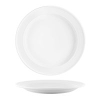 VITROCERAM -VITRO-2 ROUND PLATE-250x30mm Rolled Edge (*904210*) = PACK OF 12 X EACHES