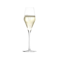 STOLZLE QUATROPHIL FLUTE CHAMPAGNE 290ml (231 00 29) (*365-501*) = PACK OF 24 X EACHES