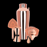 ZANZI COCKTAIL SET w/2pc SHAKER ROSE GOLD 5pc (*Z9014*) =  1 X SET