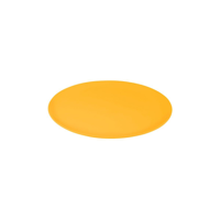 JAB SORBET-MANGO ROUND PLATE COUPE 250mm (*48656*) = PACK OF 6 X EACHES
