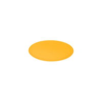 JAB SORBET-MANGO ROUND PLATE COUPE 200mm (*48655*) = PACK OF 6 X EACHES