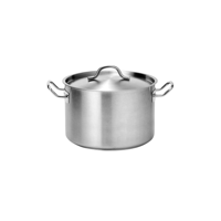 FORCE CASSEROLE w/LID 300x200mm SS TRI-PLY 14lt (*73523*) =  1 X EACH