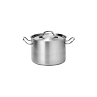 FORCE CASSEROLE w/LID 250x180mm SS TRI-PLY 9lt (*73522*) =  1 X EACH